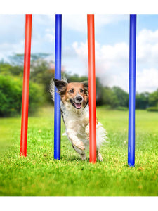 Pet Toys kutya agility szlalom akadály, hordtáskával - 4 db